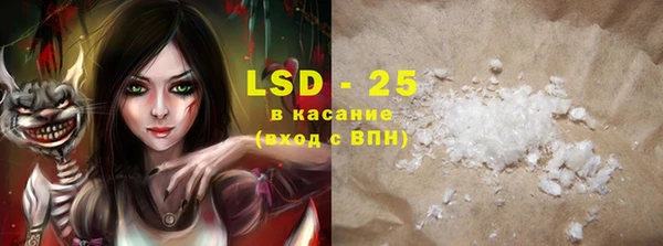 PSILOCYBIN Магас