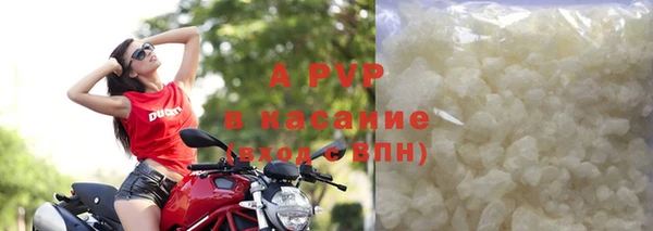 PSILOCYBIN Магас