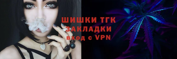 индика Майский