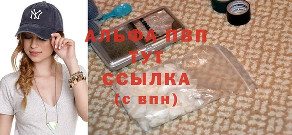 PSILOCYBIN Магас