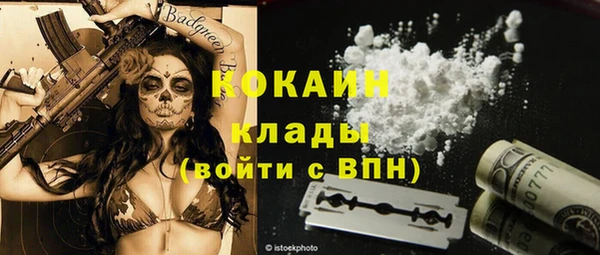 PSILOCYBIN Магас