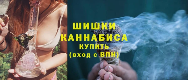 индика Майский