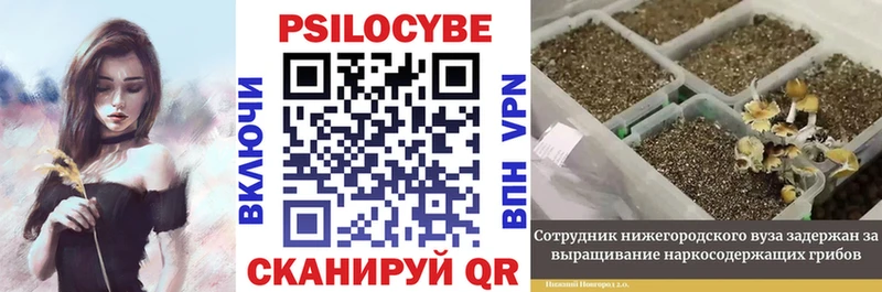 Псилоцибиновые грибы мухоморы  где можно купить наркотик  Усолье 